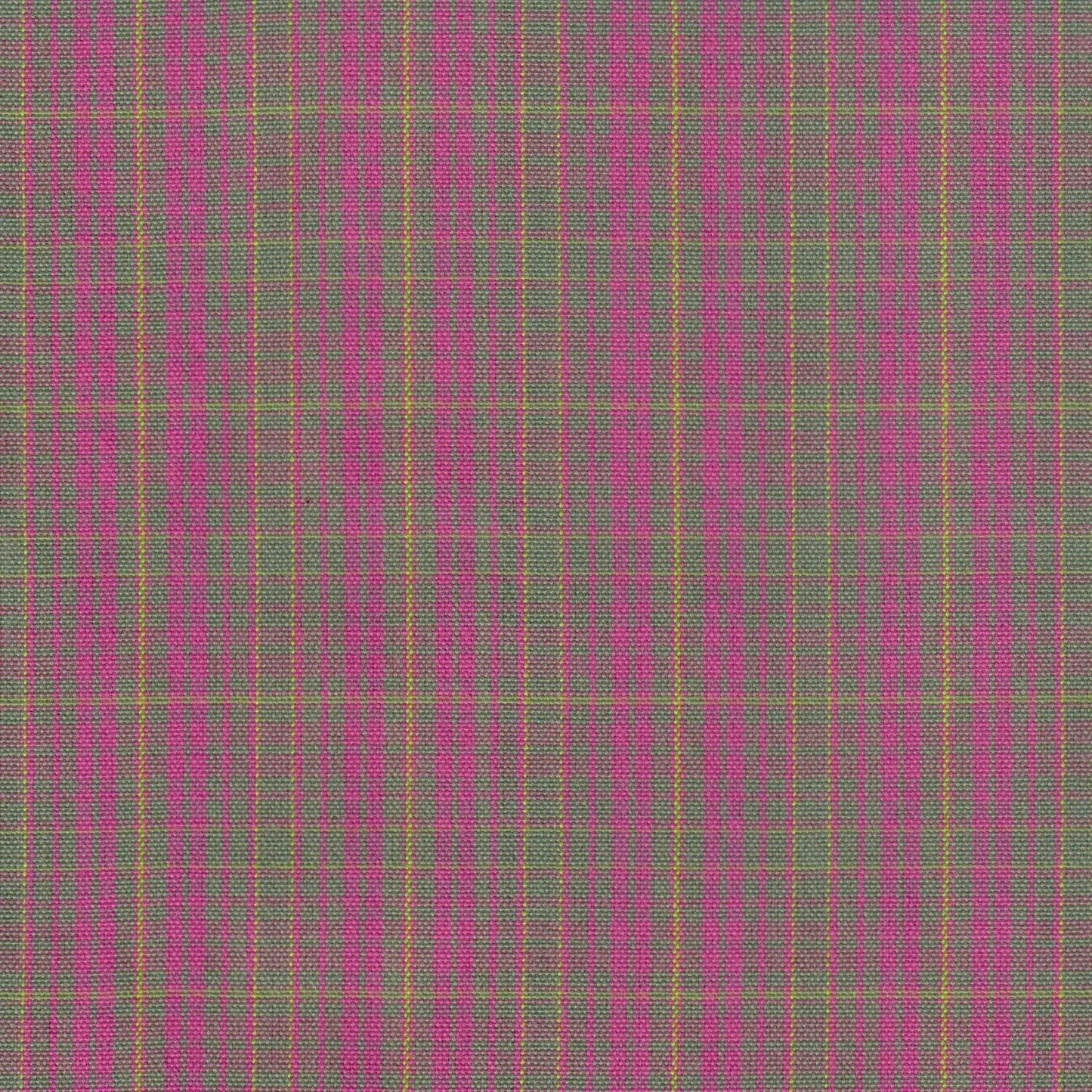 Tela jacquard tafetán rosa y verde con líneas amarillas; tela para uniformes escolares SchoolLine.