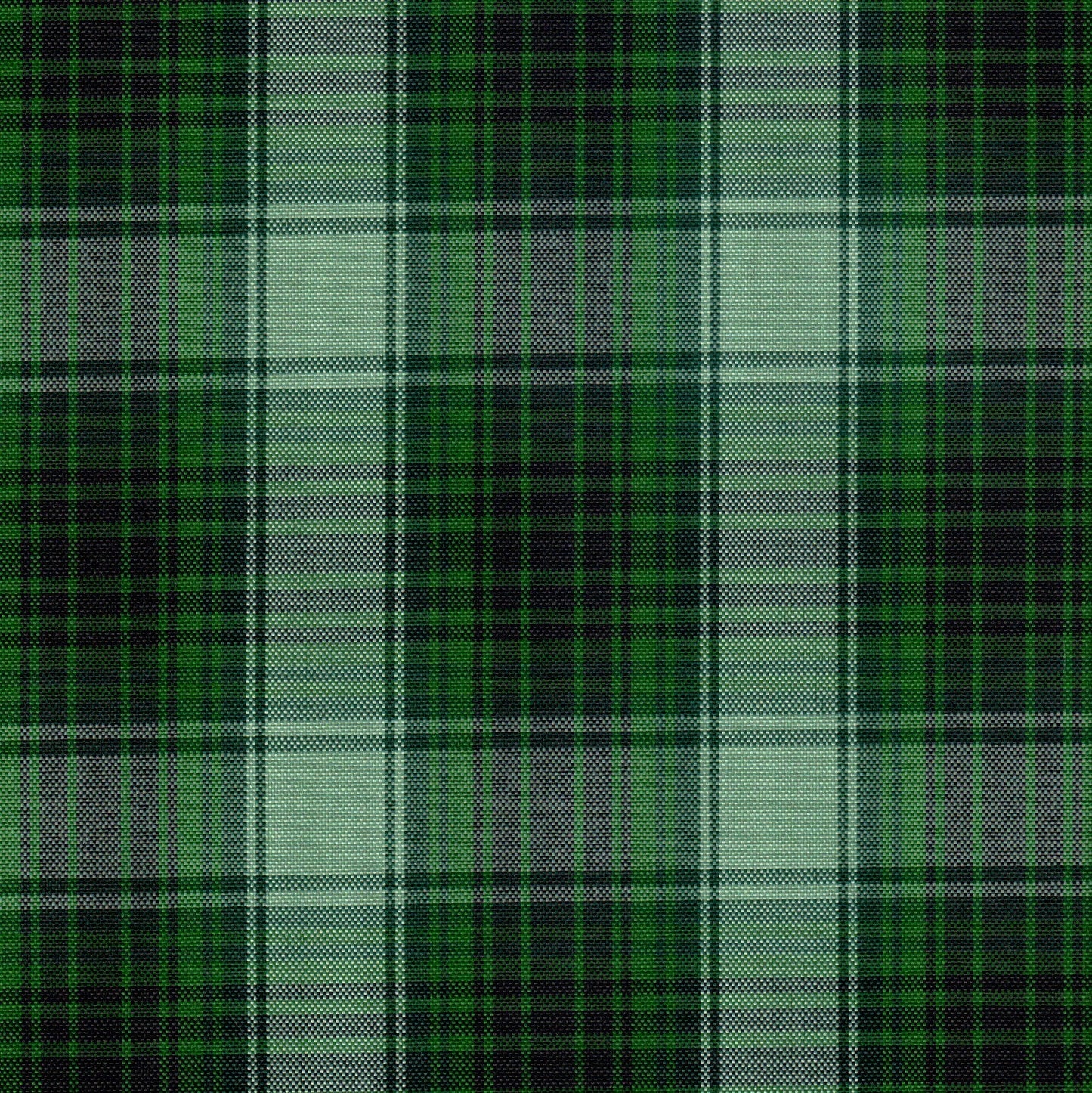 Tela escocesa de poliéster para uniformes escolares e institucionales, SchoolLine, verde intenso, negro y blanco, diseño a cuadros.