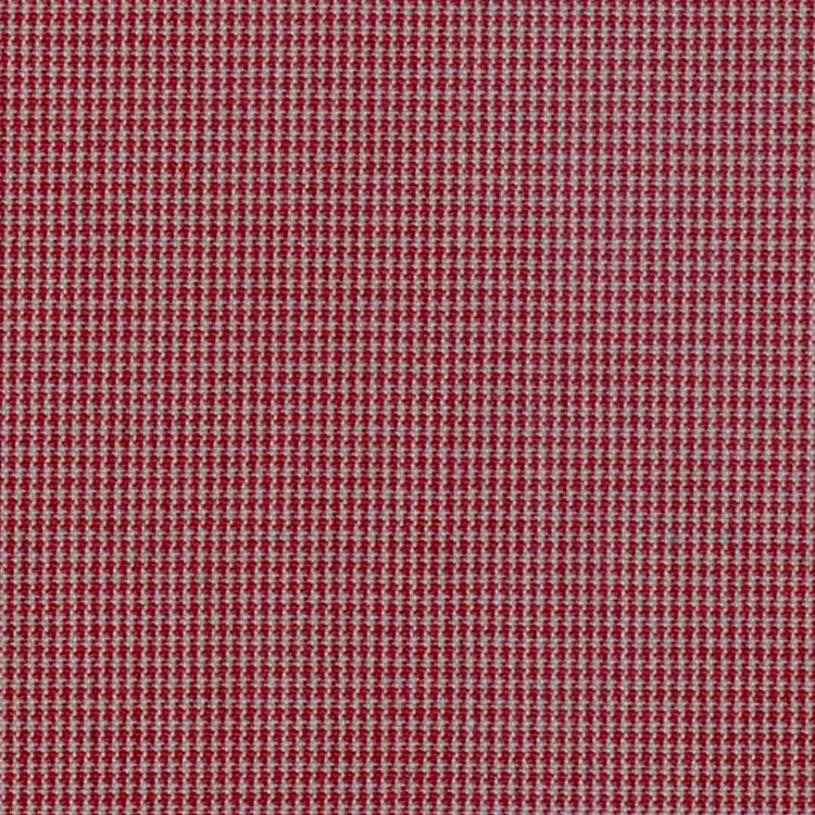 Base de tela 06-002 Dacron gallineto | School line