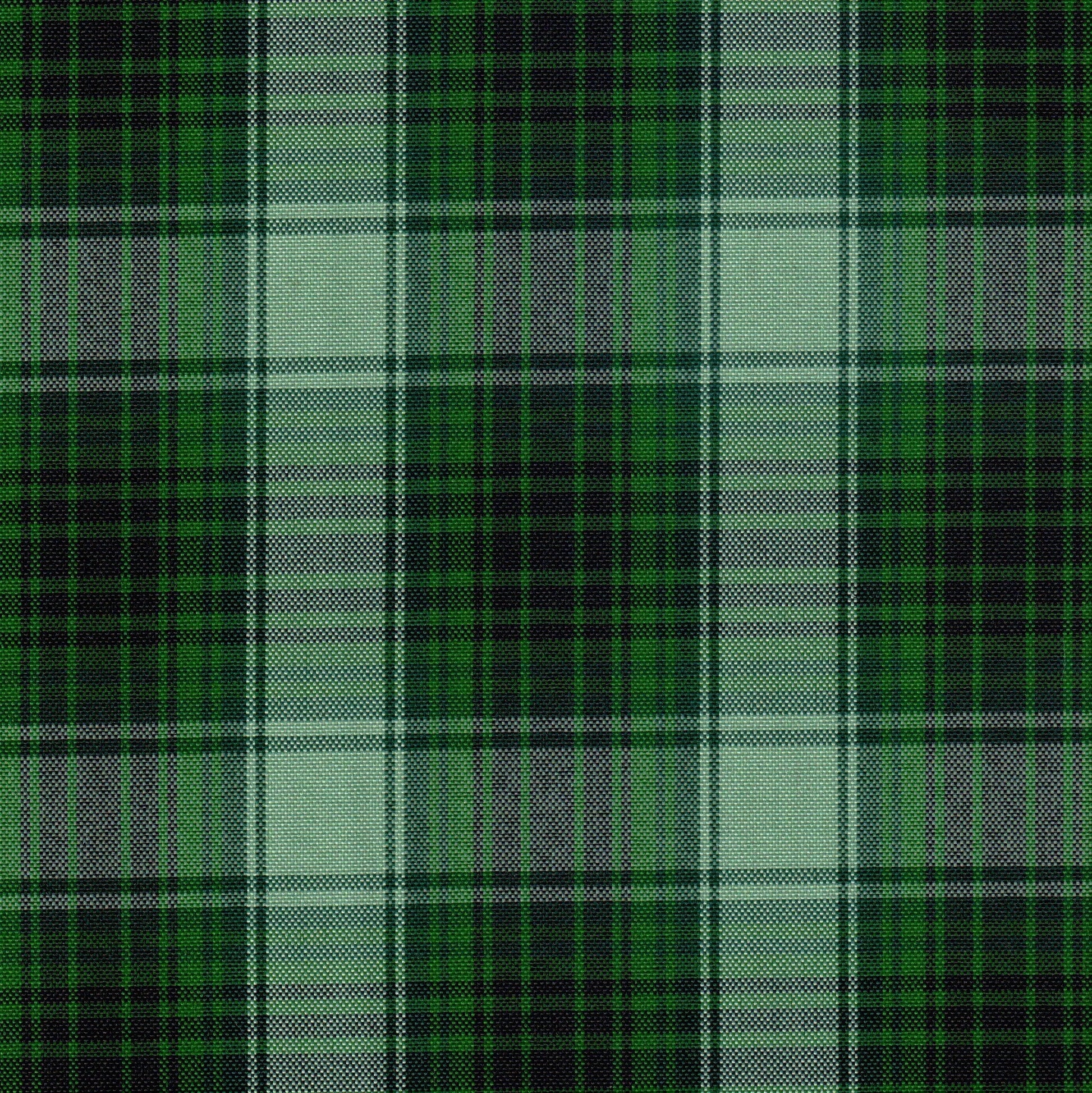 Tela escocesa de poliéster para uniformes escolares e institucionales, SchoolLine, verde intenso, negro y blanco, diseño a cuadros.
